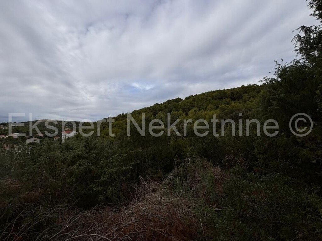 Image 6109056 - 3