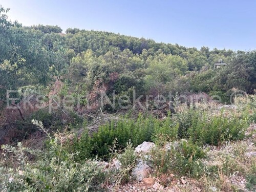 Thumbnail 6109056 - 9