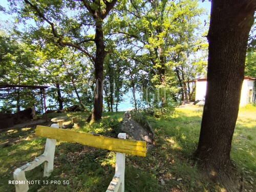 Thumbnail 6109096 - 1