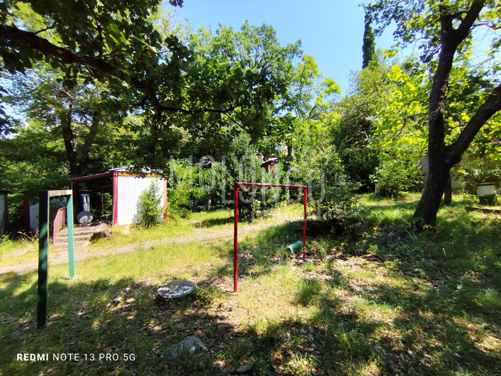 Image 6109096 - 2