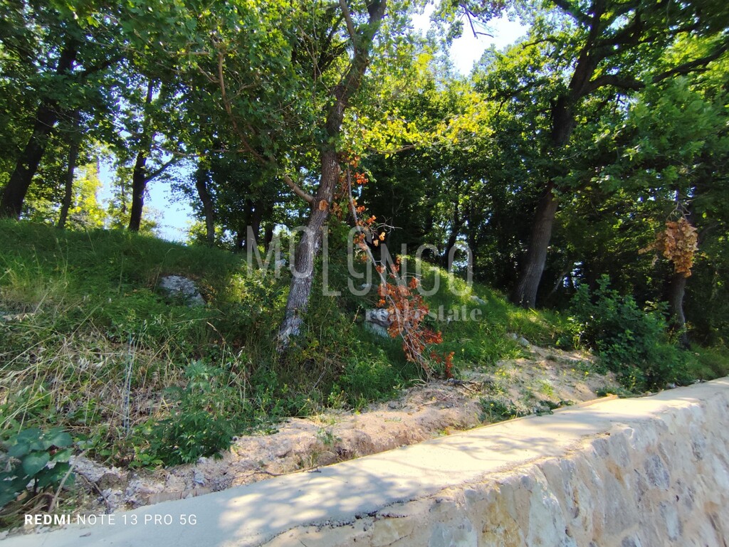 Image 6109096 - 8