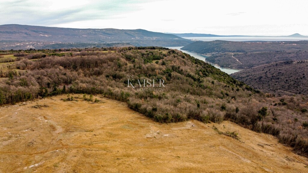 Image 6109240 - 15