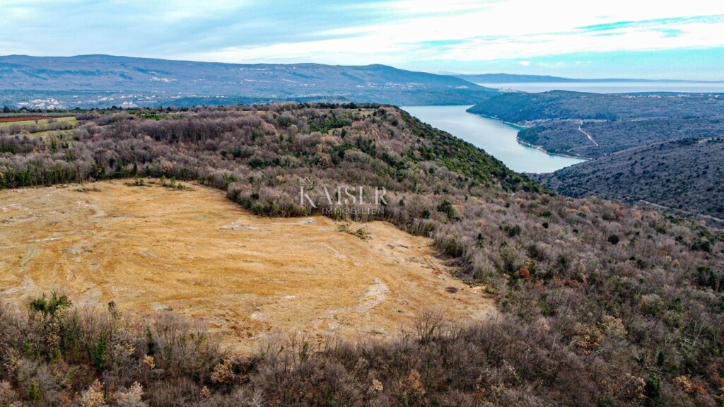 Image 6109240 - 1