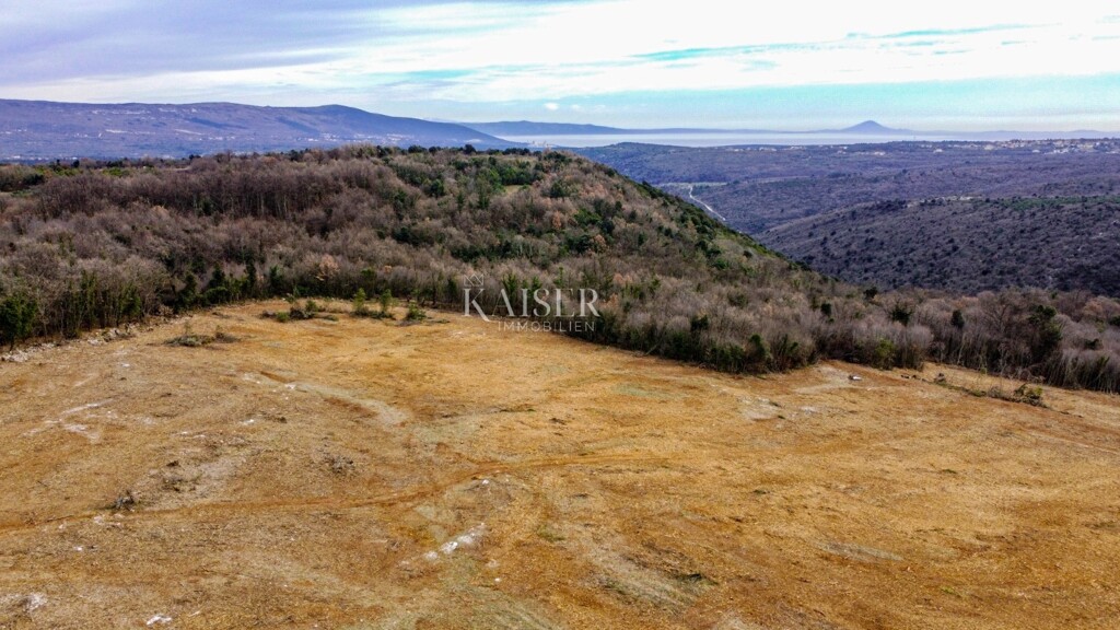 Image 6109240 - 5