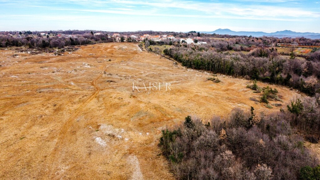 Image 6109240 - 14