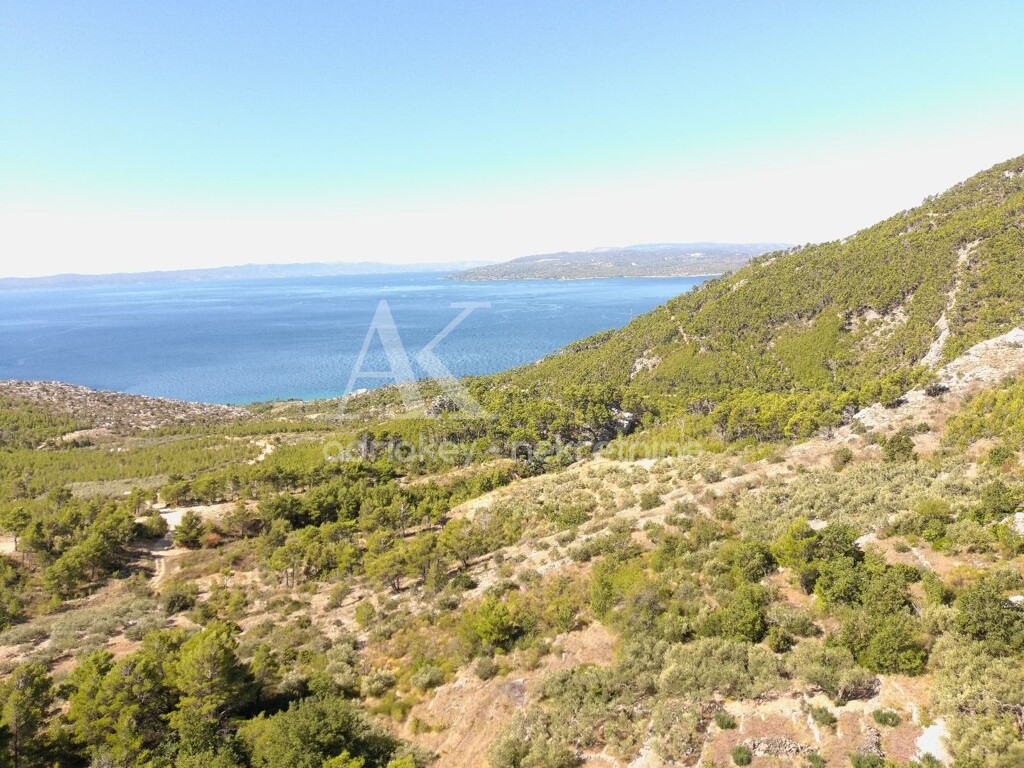 Image 6109242 - 4