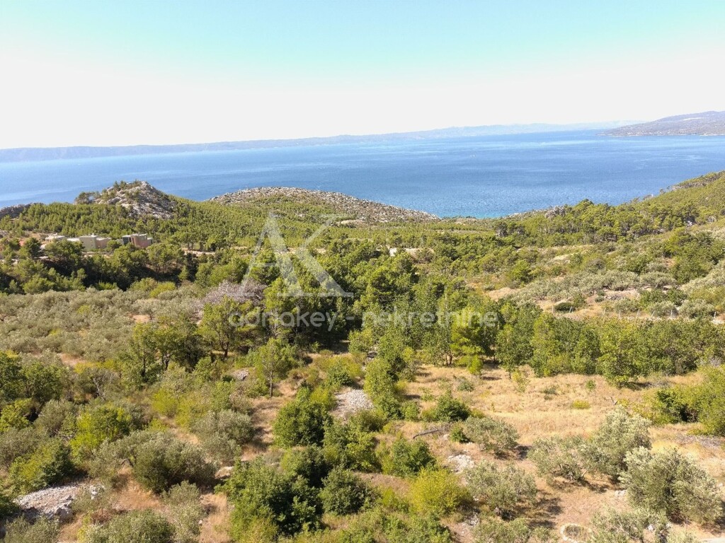 Image 6109242 - 8