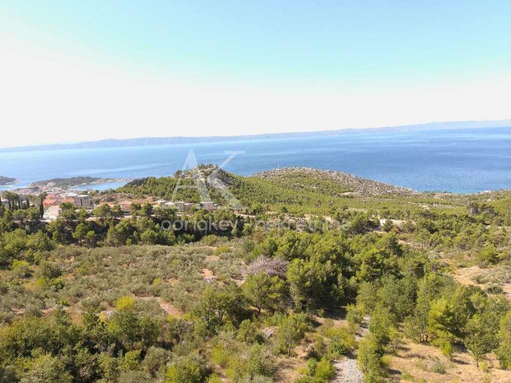 Image 6109242 - 1