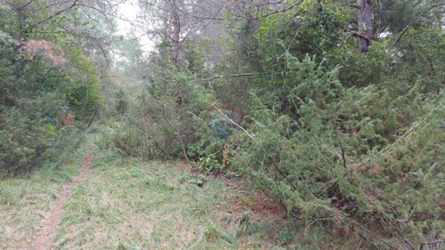 Thumbnail 6109288 - 1