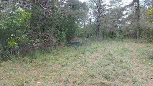 Thumbnail 6109288 - 3
