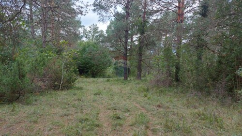 Thumbnail 6109288 - 2