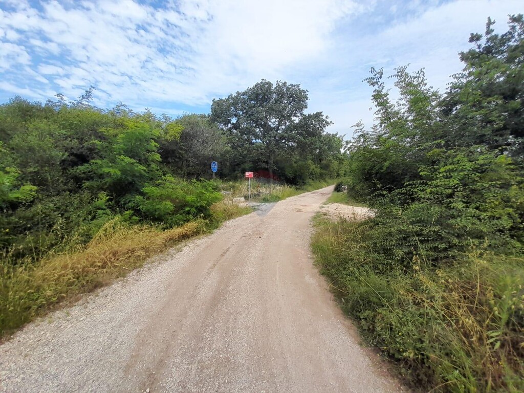 Image 6109292 - 3