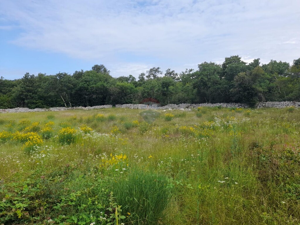 Image 6109292 - 2