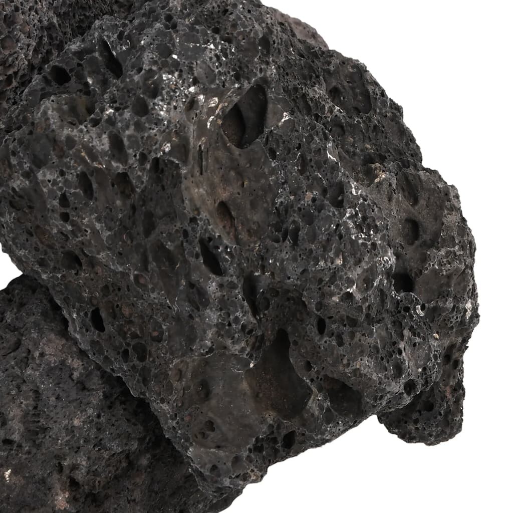 Image 6110156 - 4