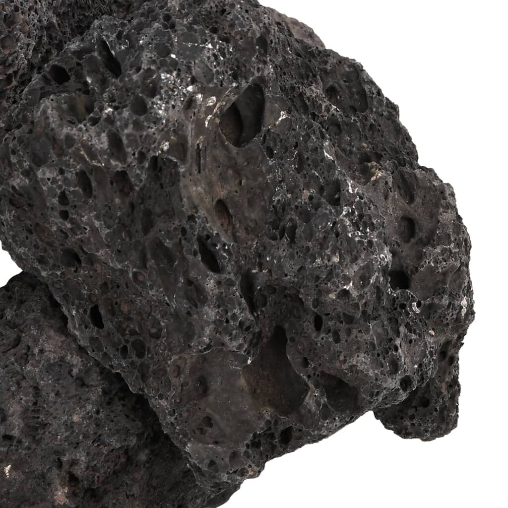 Image 6110228 - 4