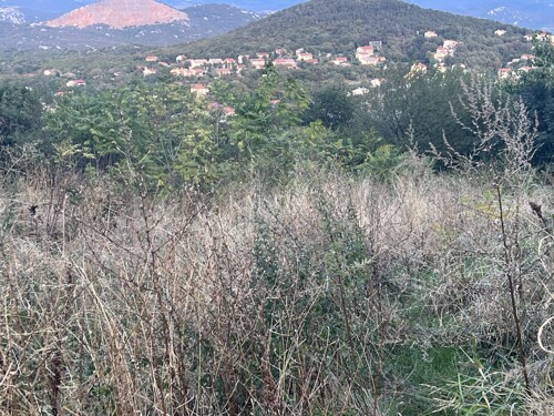 Čavle - centar, građevinsko zemljište 978 m2