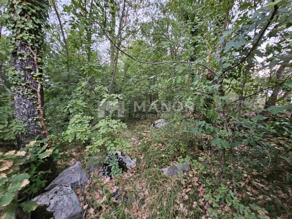 Image 6117767 - 3