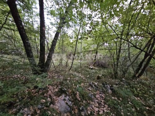 Thumbnail 6117767 - 5