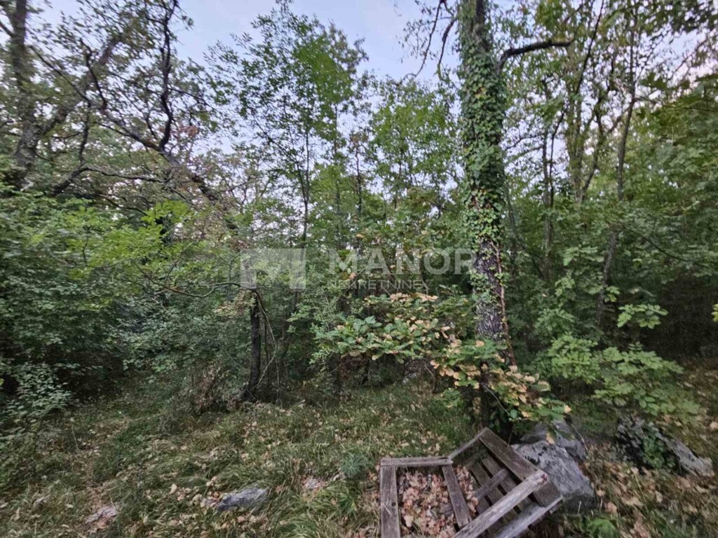 Image 6117767 - 1