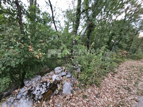Thumbnail 6117767 - 4