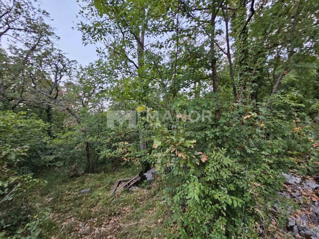 Image 6117767 - 2