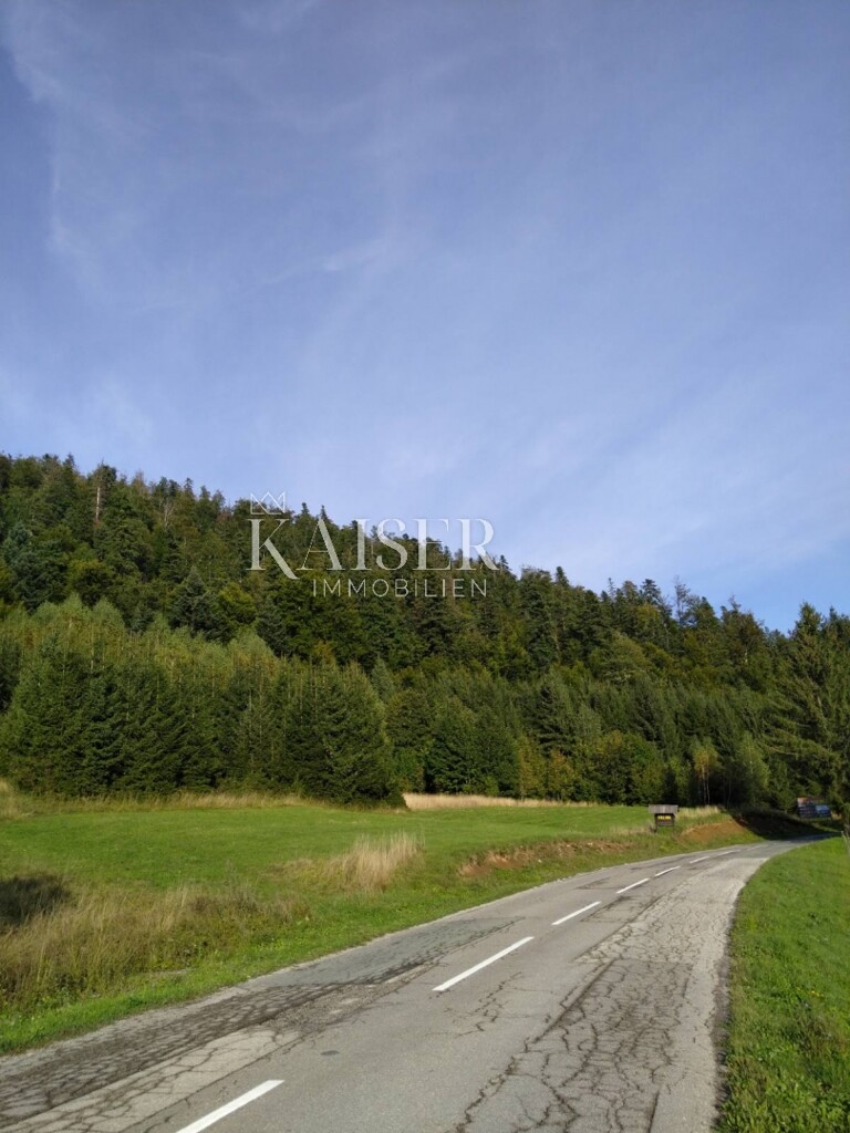 Image 6119354 - 1