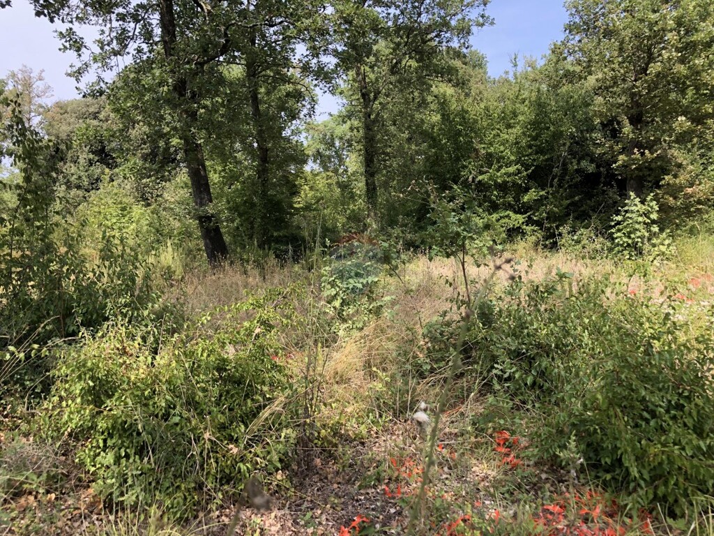 Image 6119385 - 2