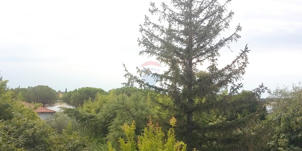 Image 6119387 - 11