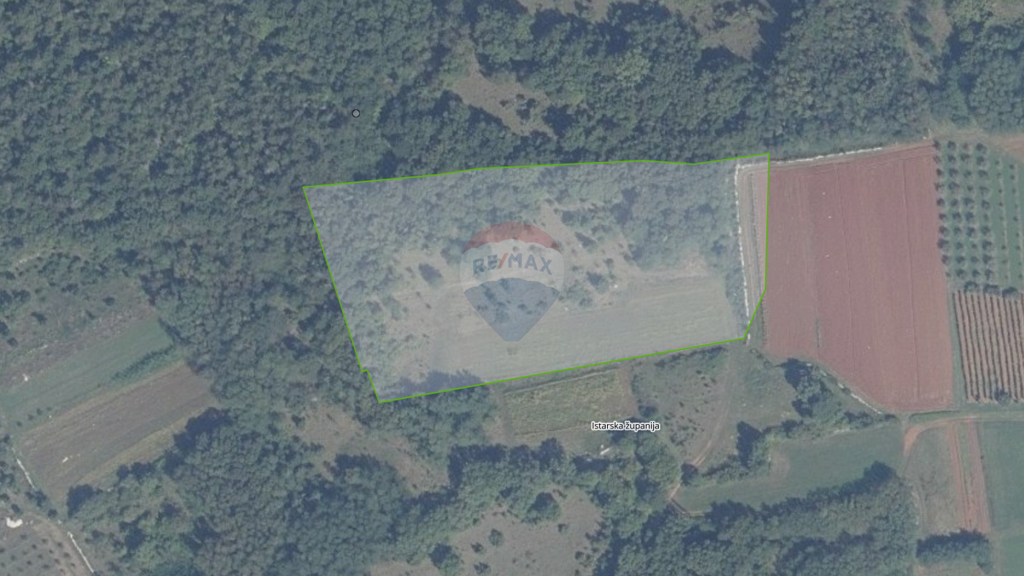 Image 6119391 - 1