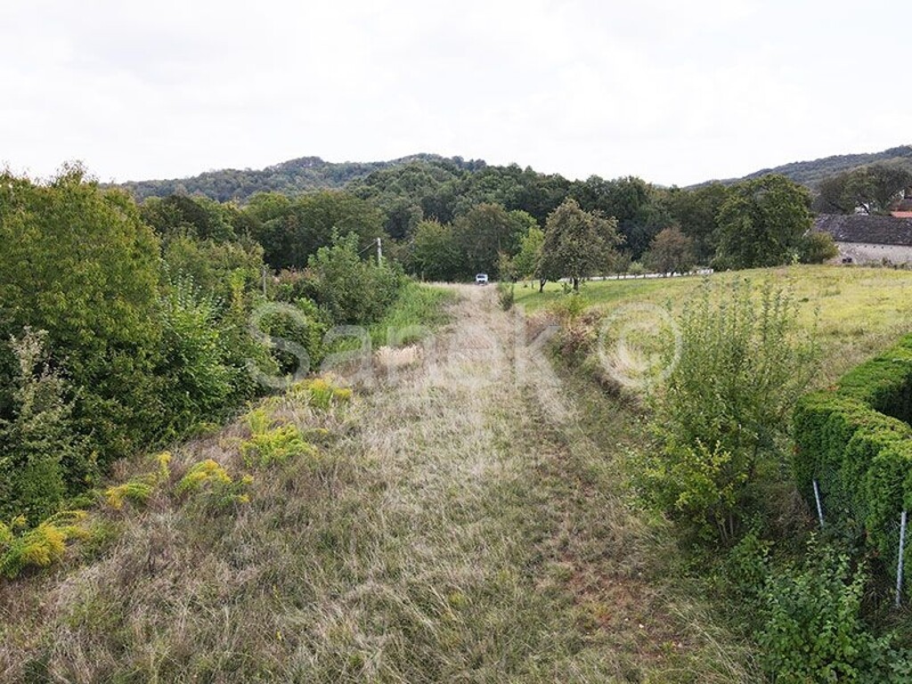 Image 6119866 - 2