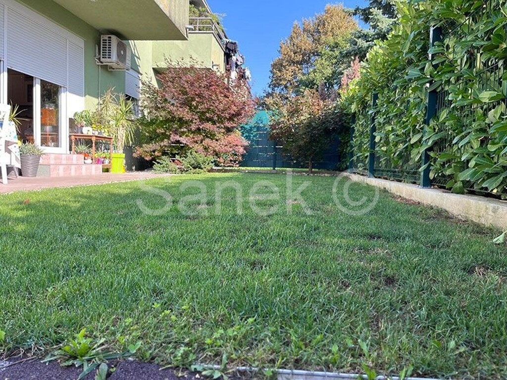 Image 6119867 - 11