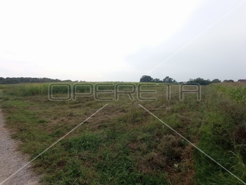 Amerikanska, Odranski Obrež, 3.344,00 m2, 120.000,00 EUR