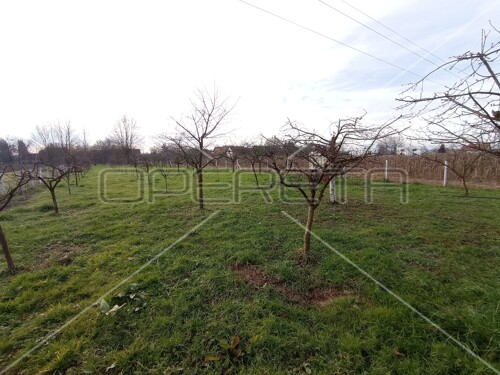 Golobreška, Brezovica, 2.620,00 m2, 222.700,00 EUR