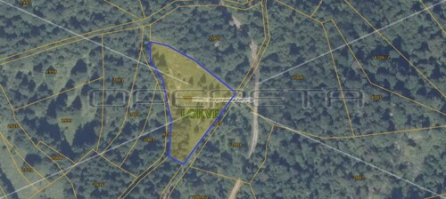 Lokve, Delnice, 3.366,00 m2, 90.000,00 EUR