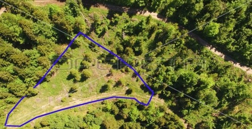 Lokve, Delnice, 3.366,00 m2, 90.000,00 EUR