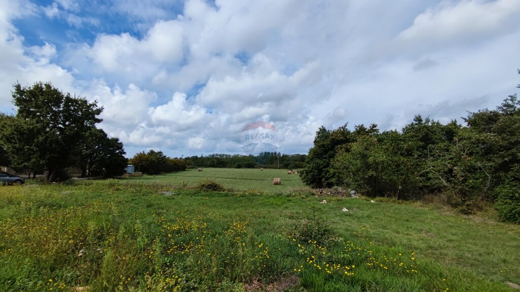 Image 6119997 - 4