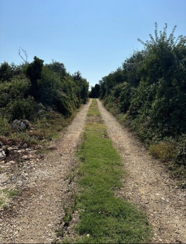 Thumbnail 6120004 - 3