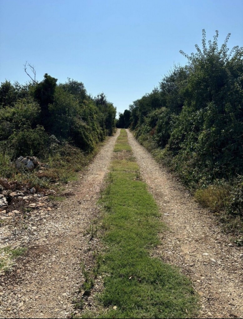 Image 6120004 - 3