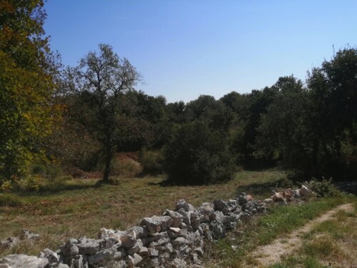 Thumbnail 6120006 - 4