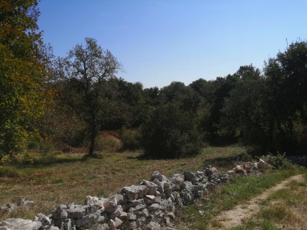 Image 6120006 - 4