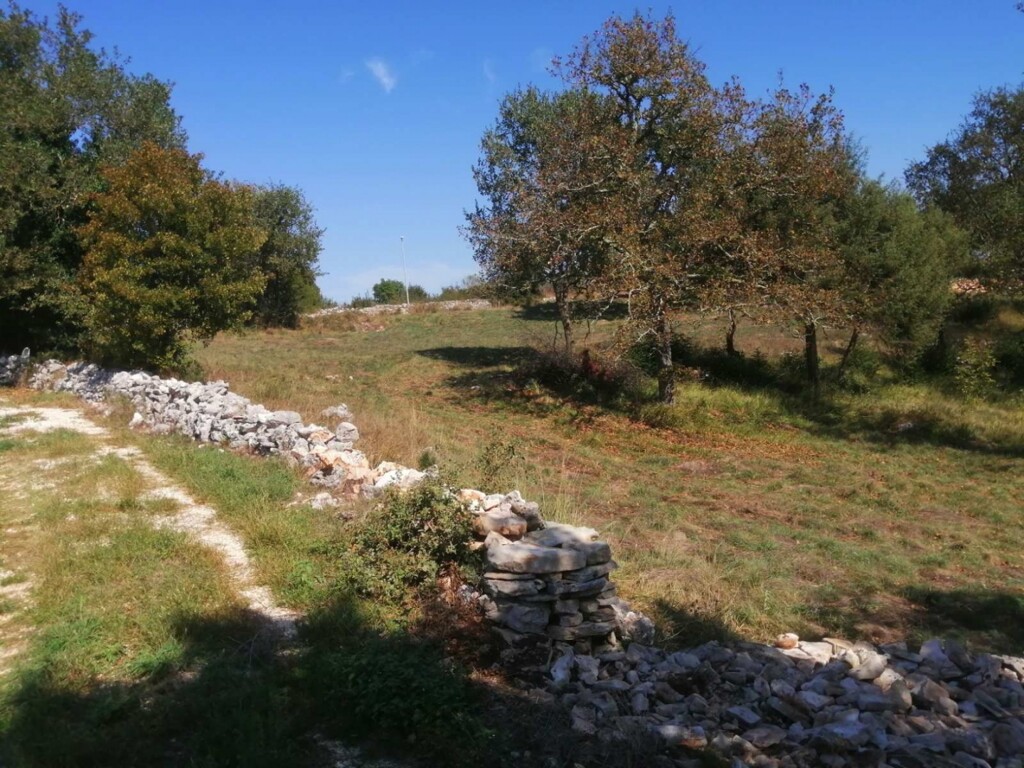 Image 6120006 - 2