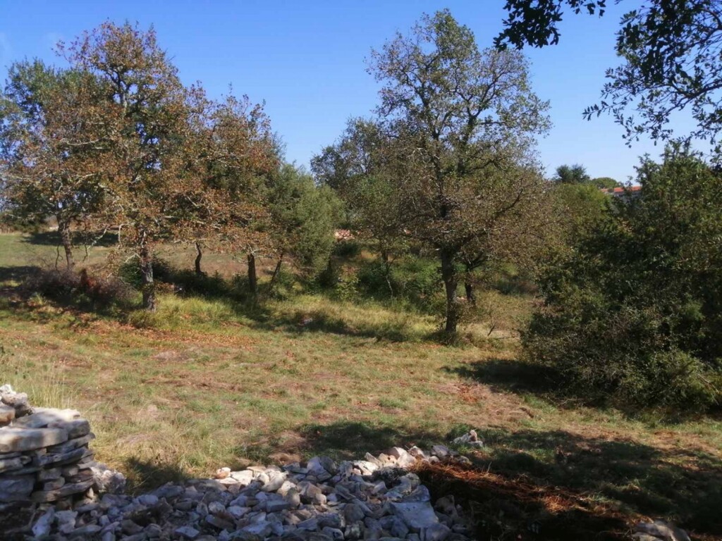 Image 6120007 - 1