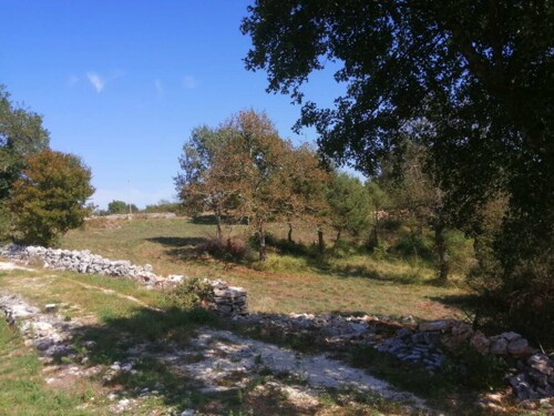 Thumbnail 6120007 - 2