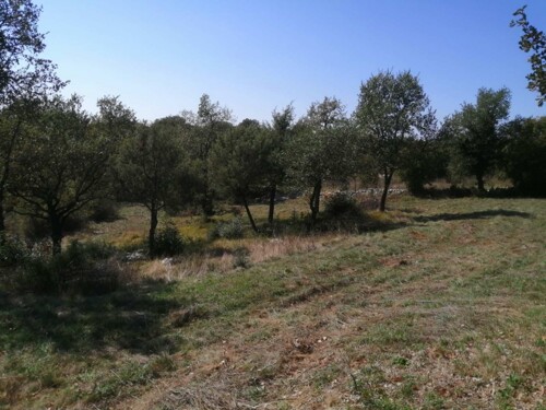 Thumbnail 6120007 - 3
