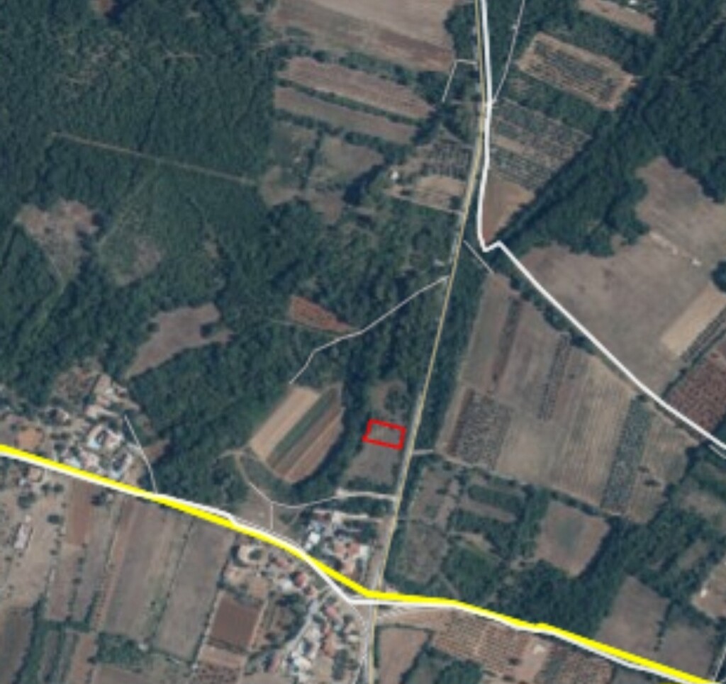 Image 6120010 - 1