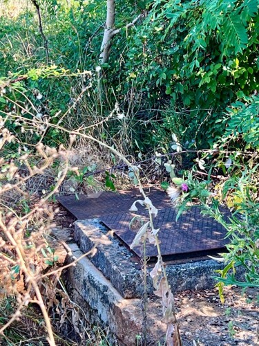 Thumbnail 6120364 - 10