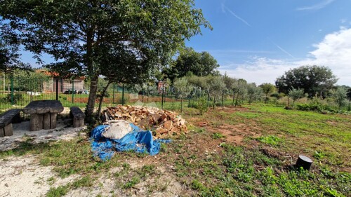 Poljoprivredno zemljište s maslinama - ograđeno