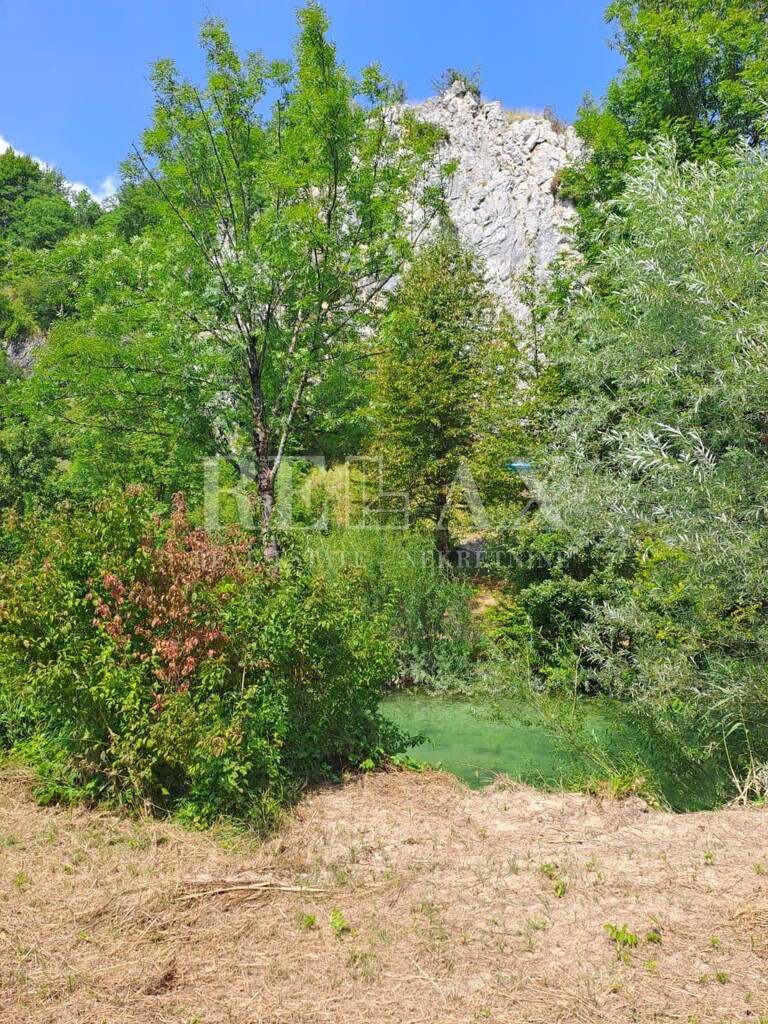 Image 6120558 - 12