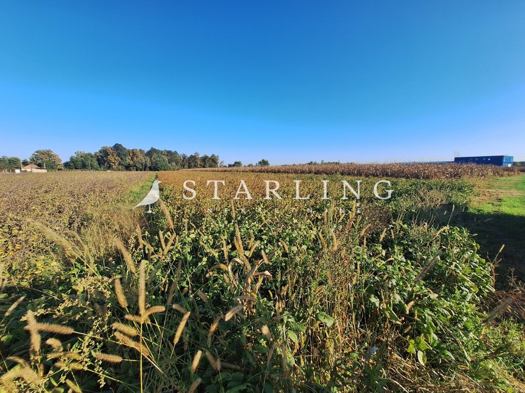 Image 6121373 - 1