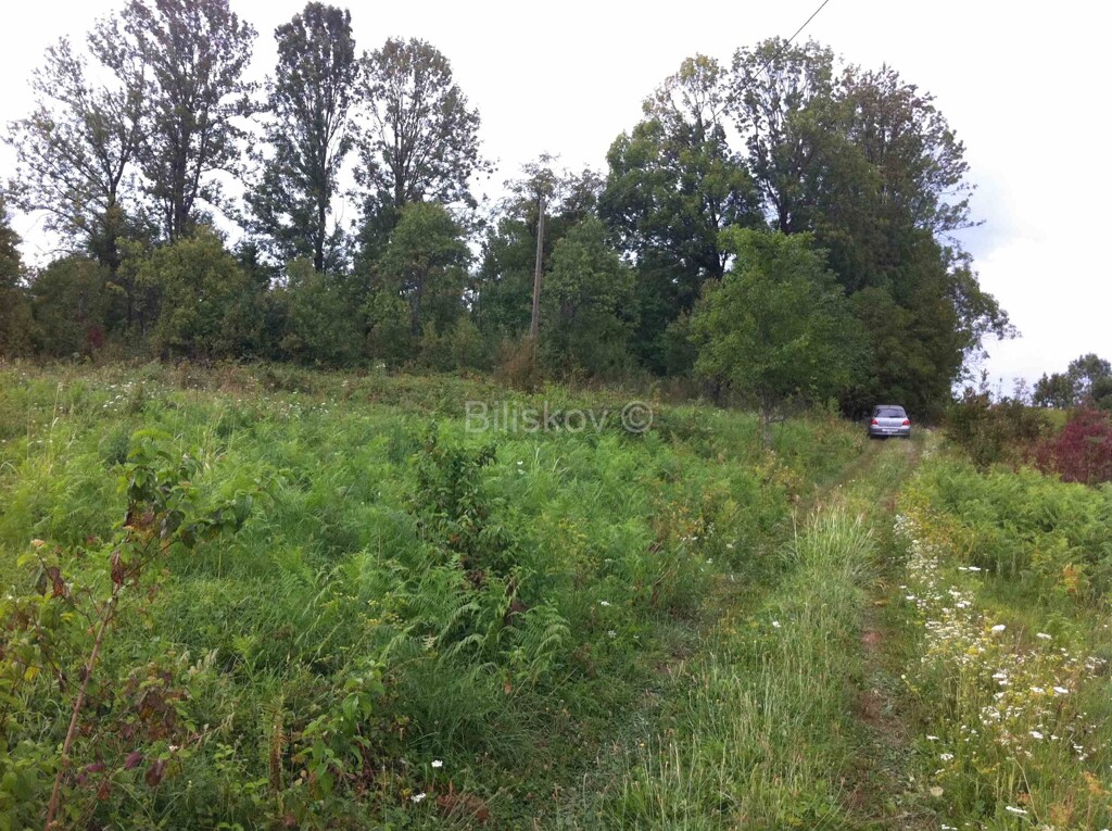 Image 6121453 - 8